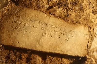 Corias Figura 3