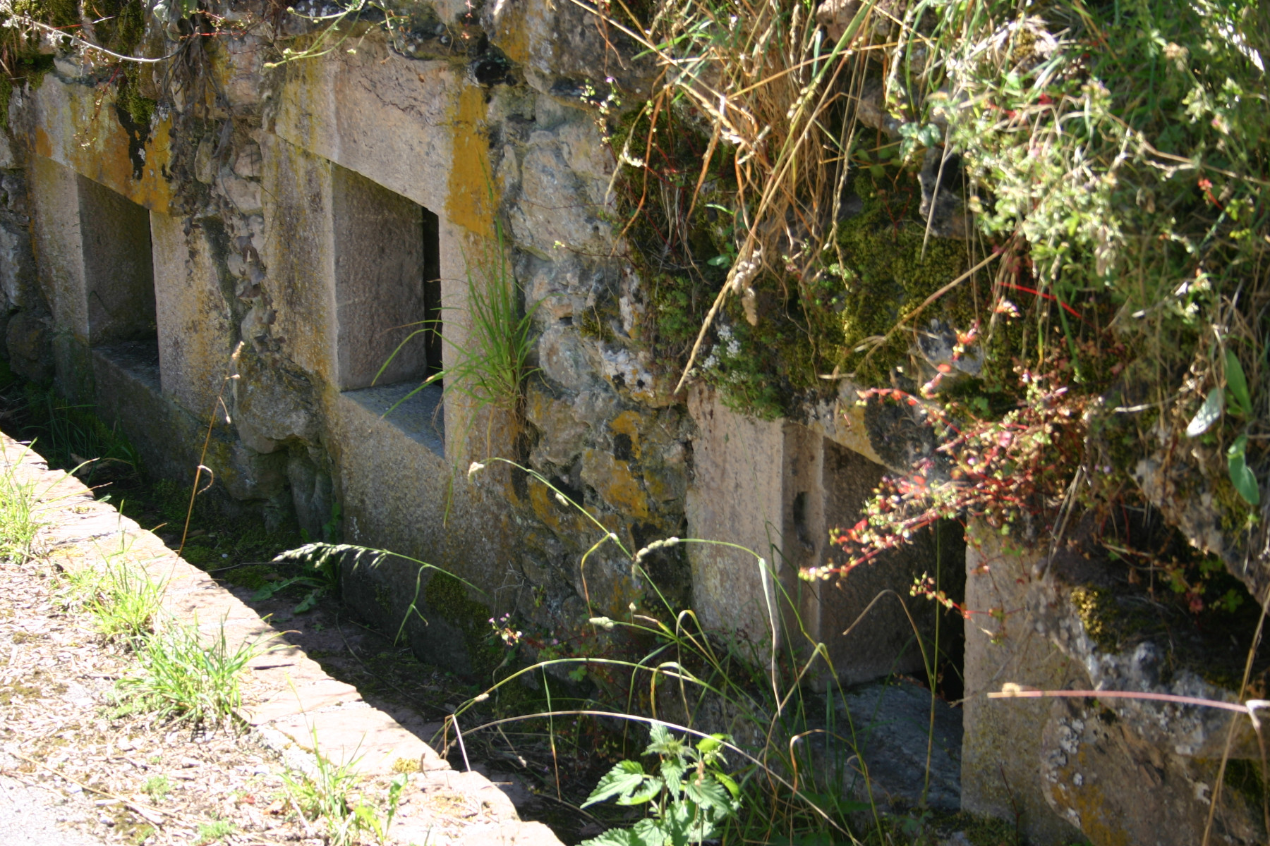 Gúa Figura 2