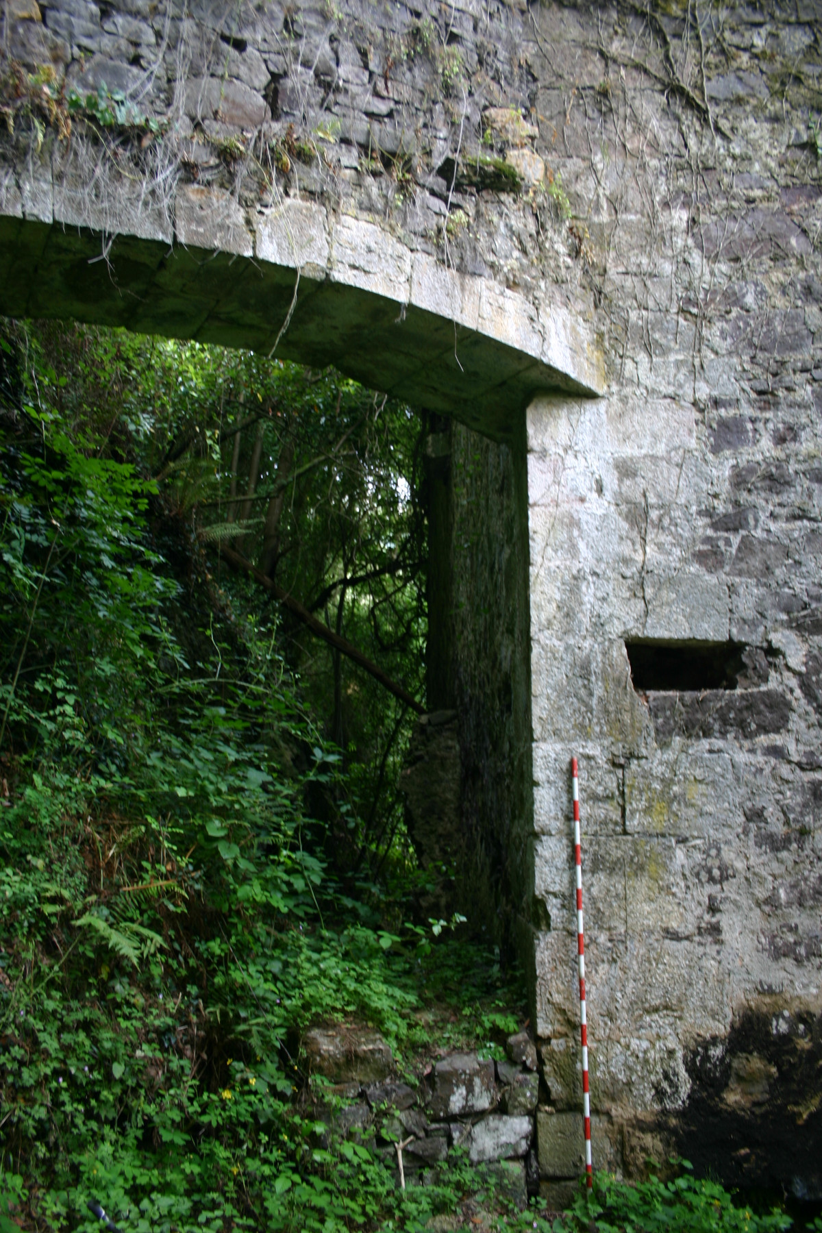 Figura 3 Lapedo Belmonte Tirante