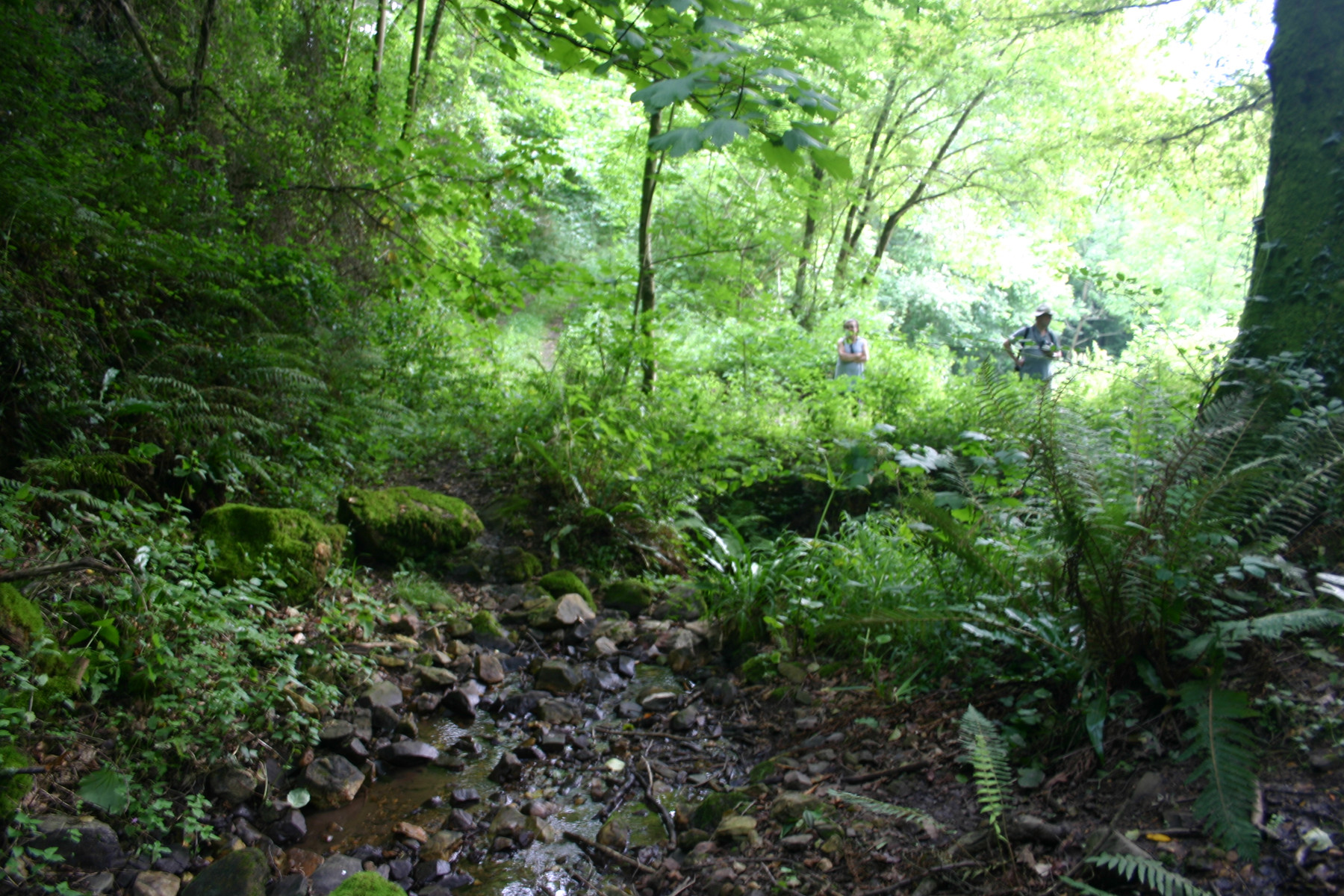 Figura 4 Canal de derivación presa monástica