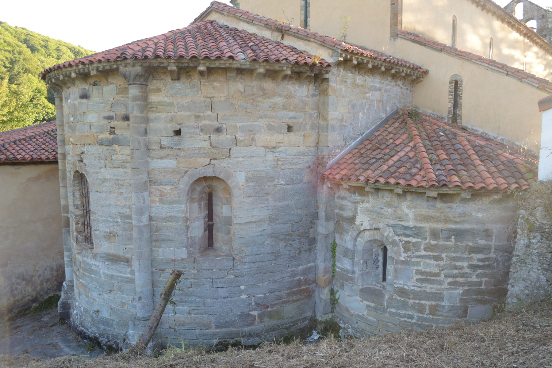 Obona Figura 2