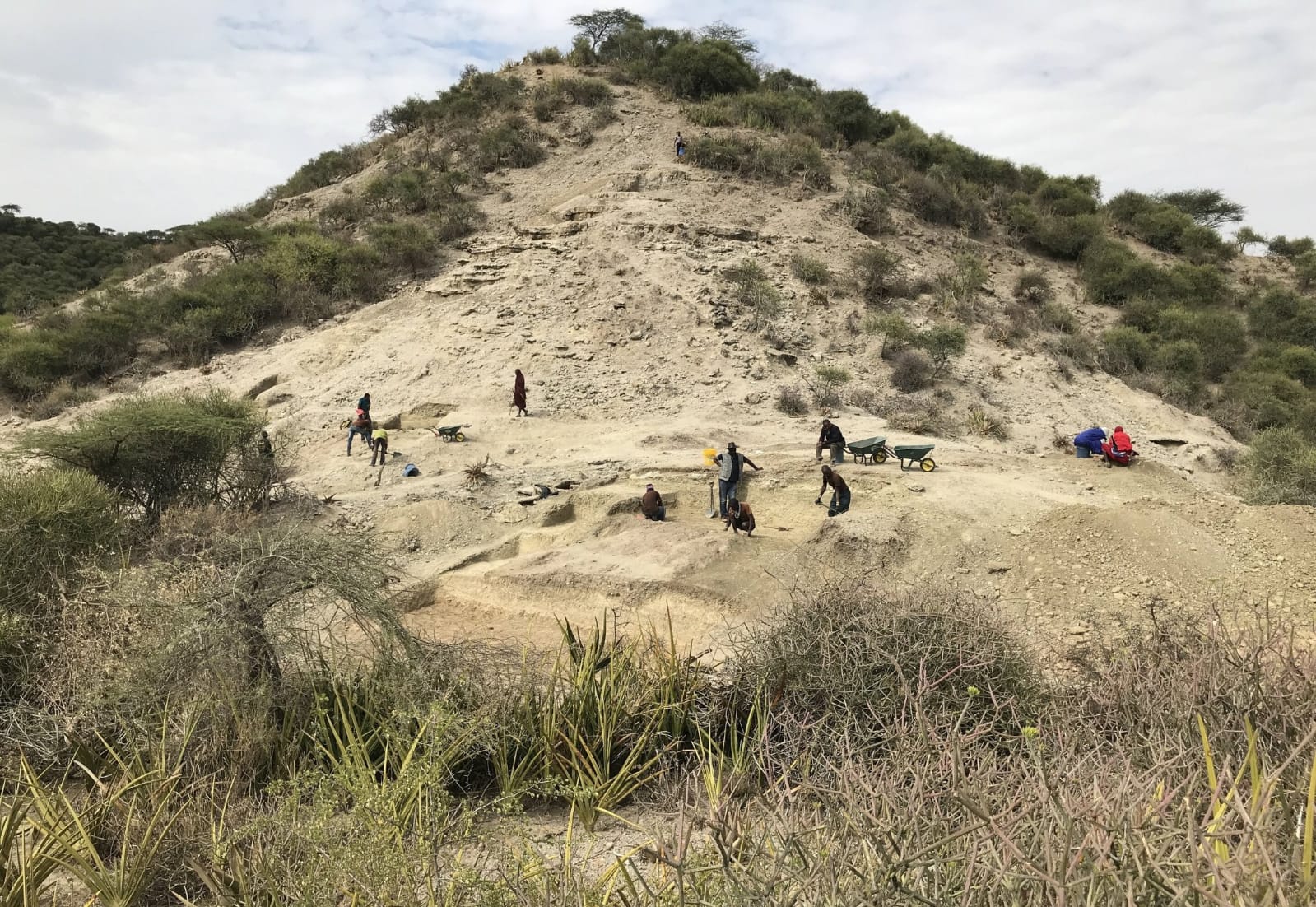 La Garganta de Oldupai (Tanzania)