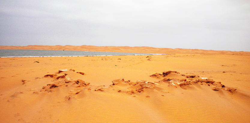 SCMPequena_Tarfaya_Sahara_web-copia.jpg