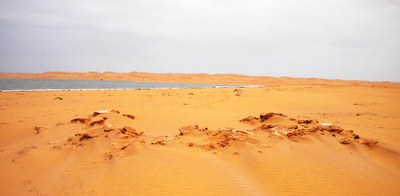 SCMPequena_Tarfaya_Sahara_web-copia.jpg