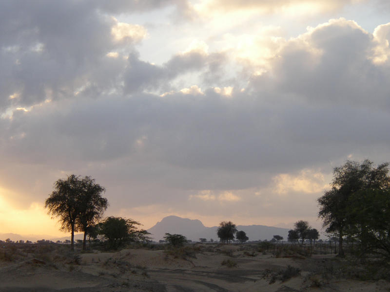 Emiratos-Arabes_4_Paisaje-Thuqeibah_Carmen-del-Cerro.jpg