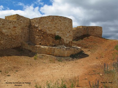 II-Jornadas-Arqueologia-Medieval_Tedeja_Pablo-C_Diaz-Martinez.jpg