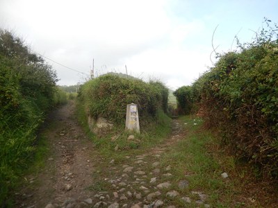 Pablo-Leon-Gasalla_Camino-en-Vega-Ribadesella_III-Jornadas-Arqueologia-Medieval_APIAA_2015_web.jpg