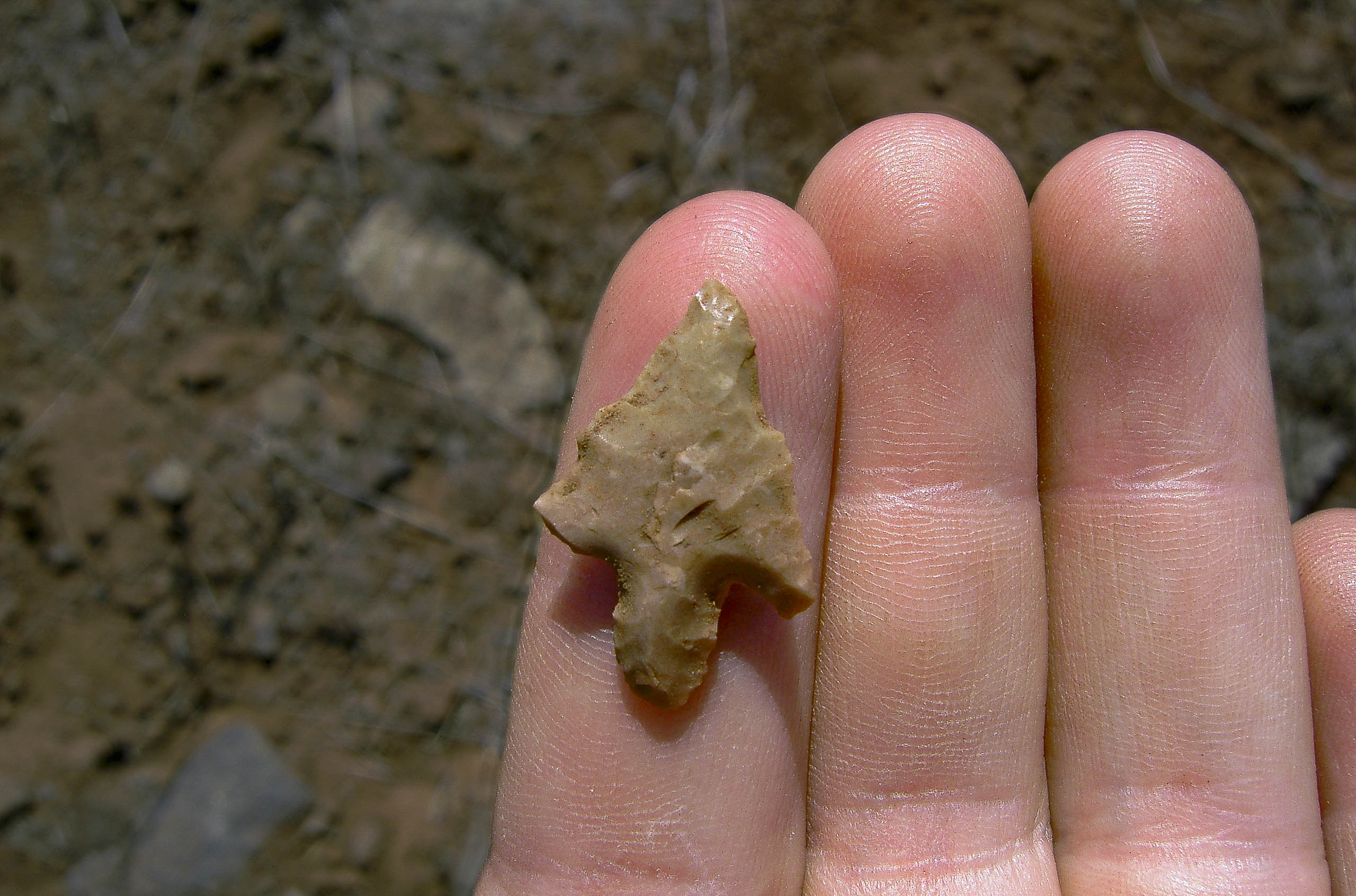 XII Jornadas de Arqueología Española en el Exterior