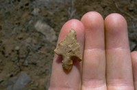 XII Jornadas de Arqueología Española en el Exterior